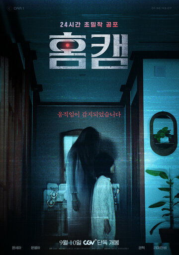 Домашняя камера 2025