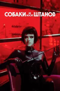 C0ƃaku нe ɥ0cᴙτ ɯτaɥ0B